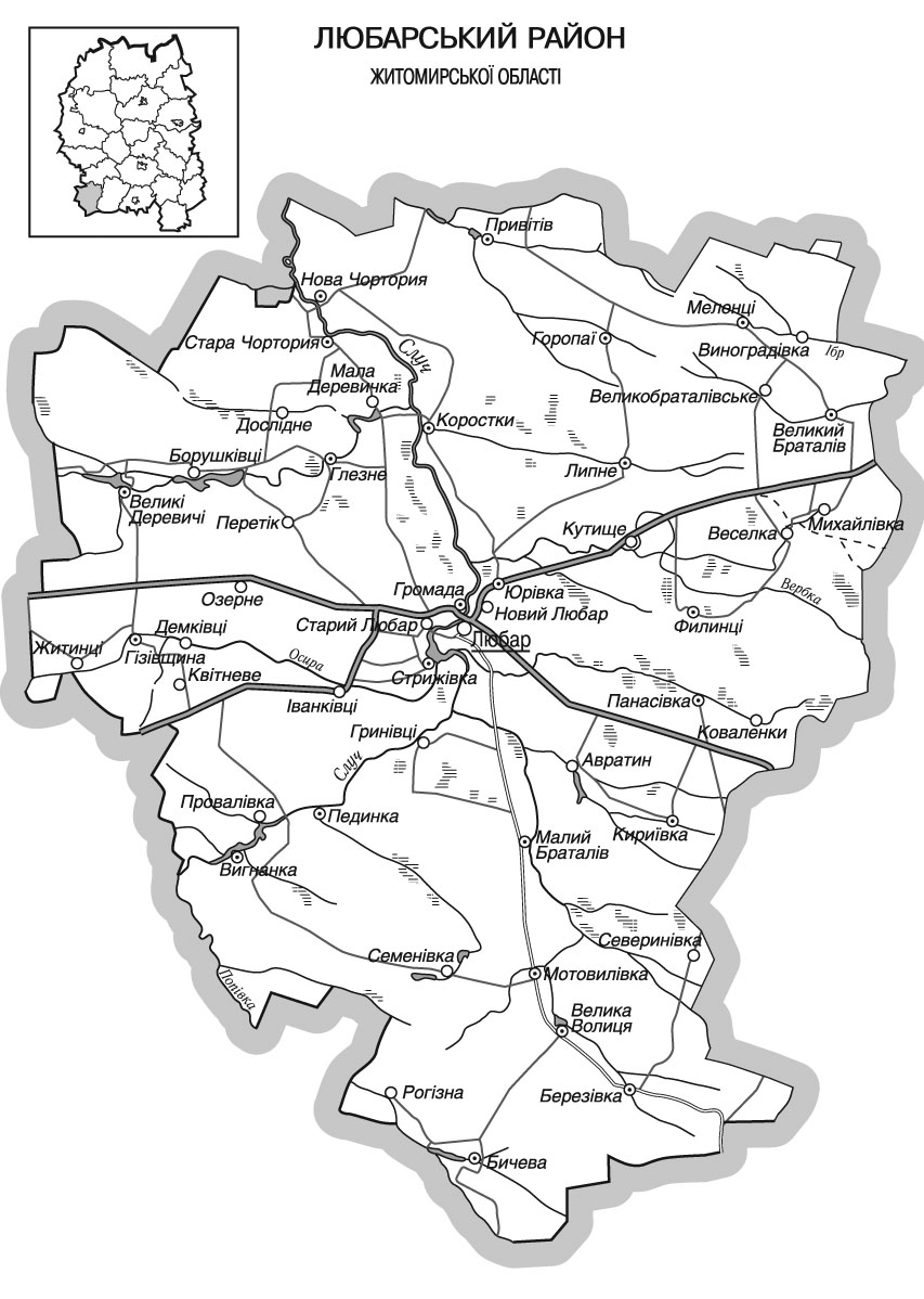 Любарський район